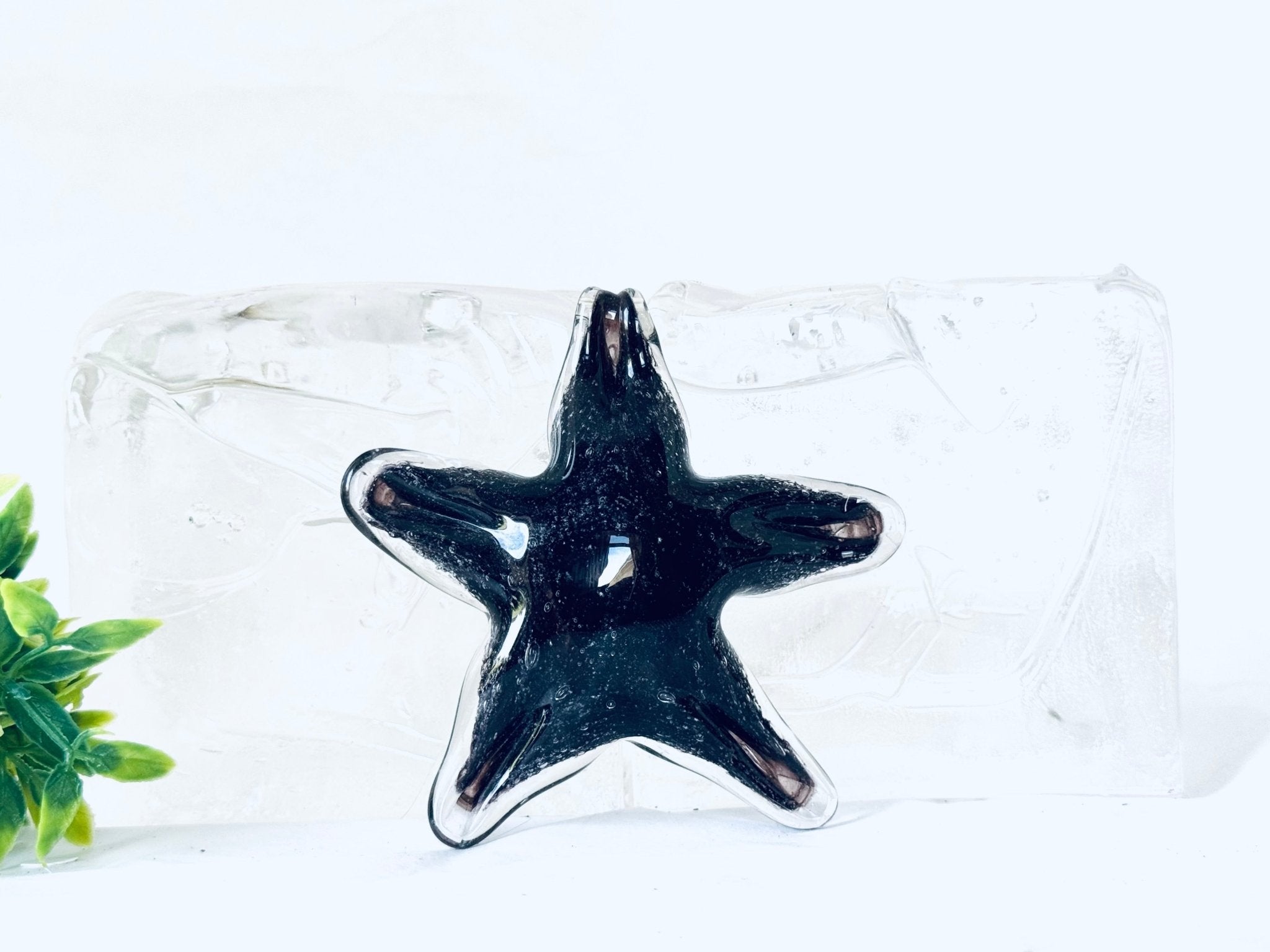 "Étoiles" en verre avec cendres funéraires - La Meduse - Verre soufflé