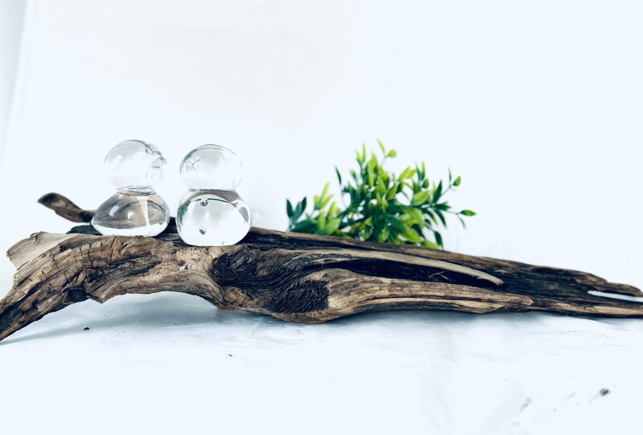Amoureux des plages - bois et verre - La Meduse - Verre soufflé