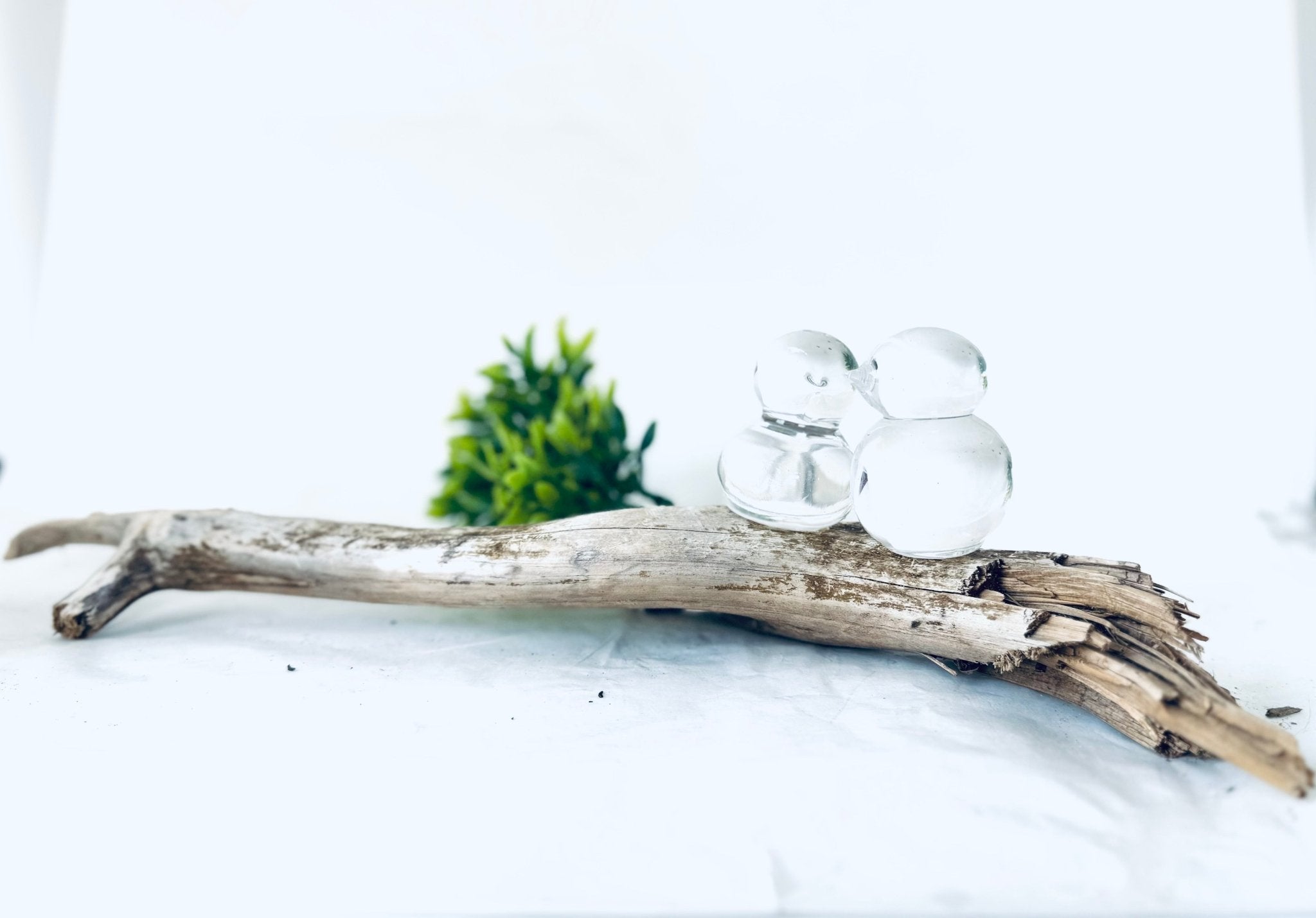 Amoureux des plages - bois et verre - La Meduse - Verre soufflé