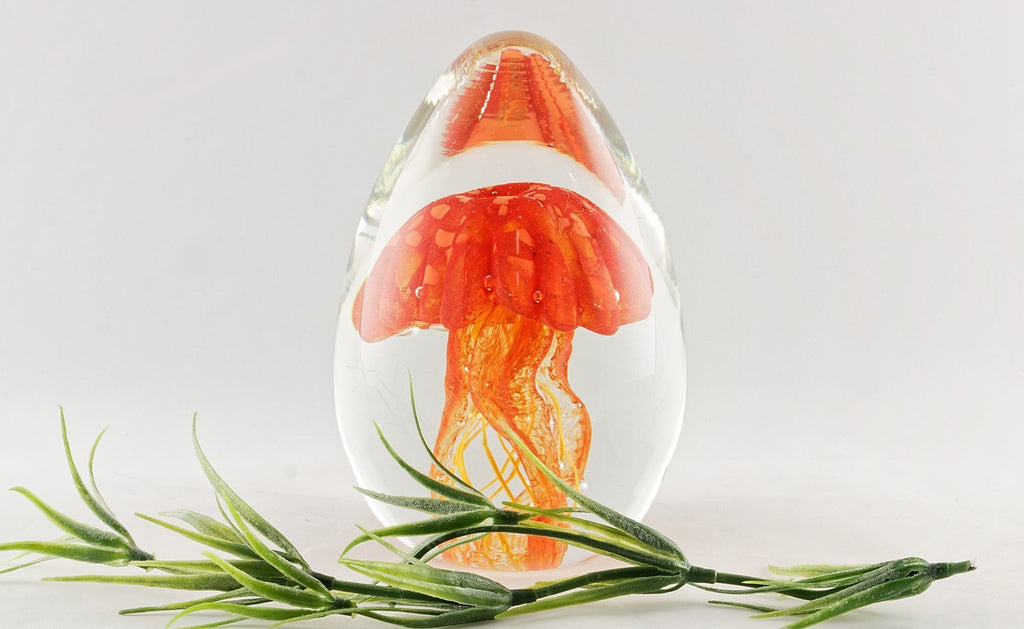 Méduse en verre - ovale - La Meduse - Verre soufflé