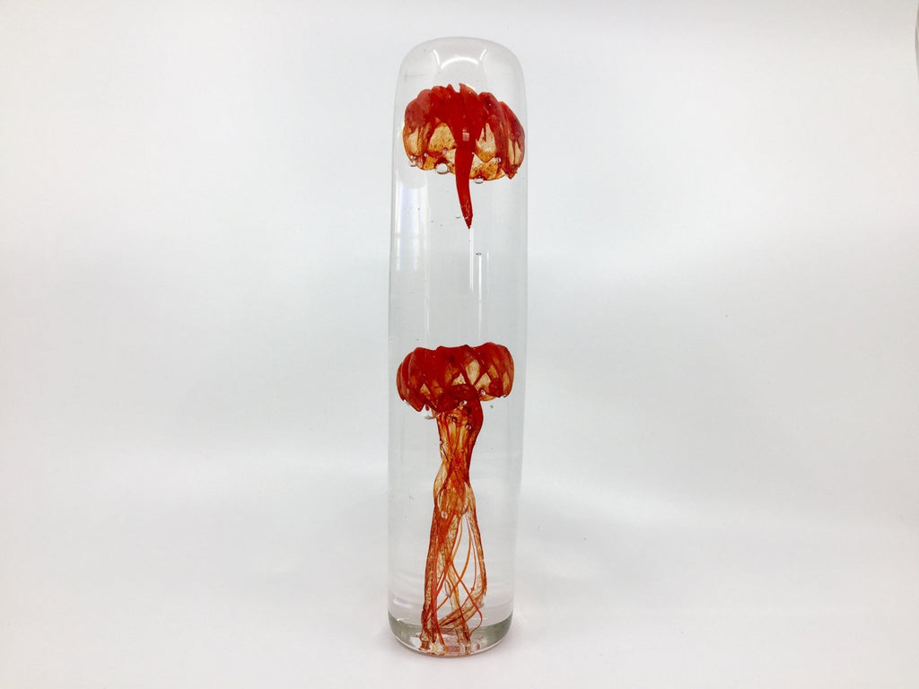 Méduses de verre double - cylindre - La Meduse - Verre soufflé