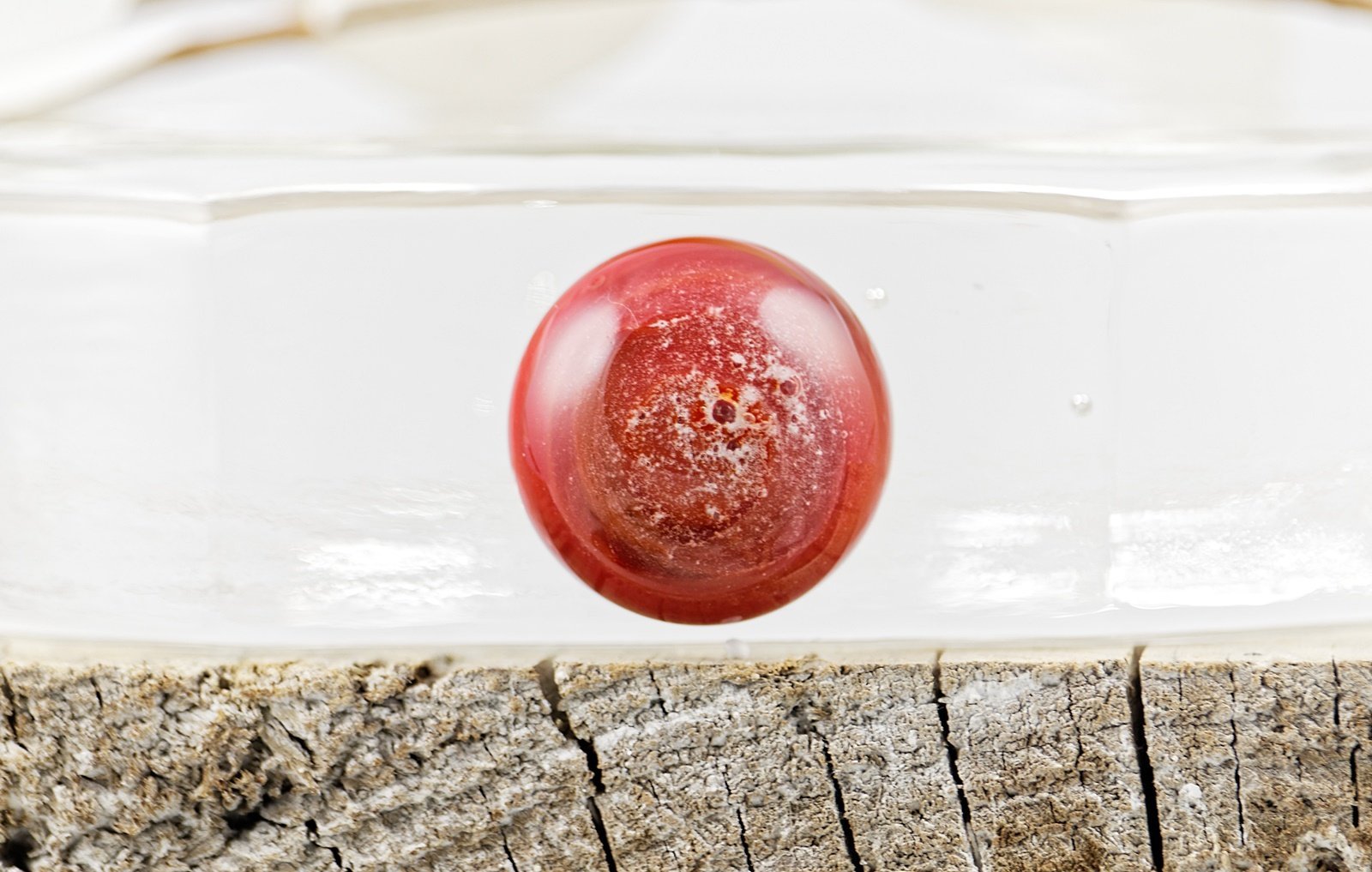 Porte-clefs Animal de compagnie avec cendres funéraires - La Meduse - Verre soufflé